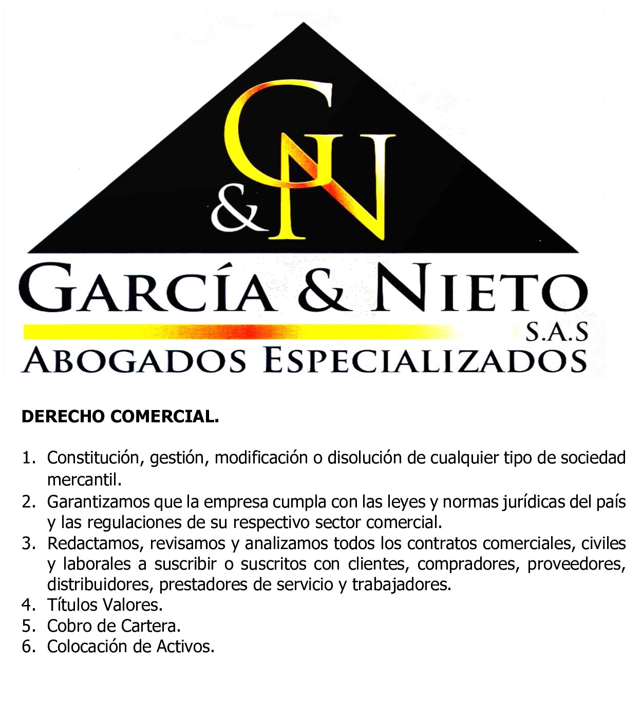 GARCIA Y NIETO ABOGADOS ESPECIALIZADOS