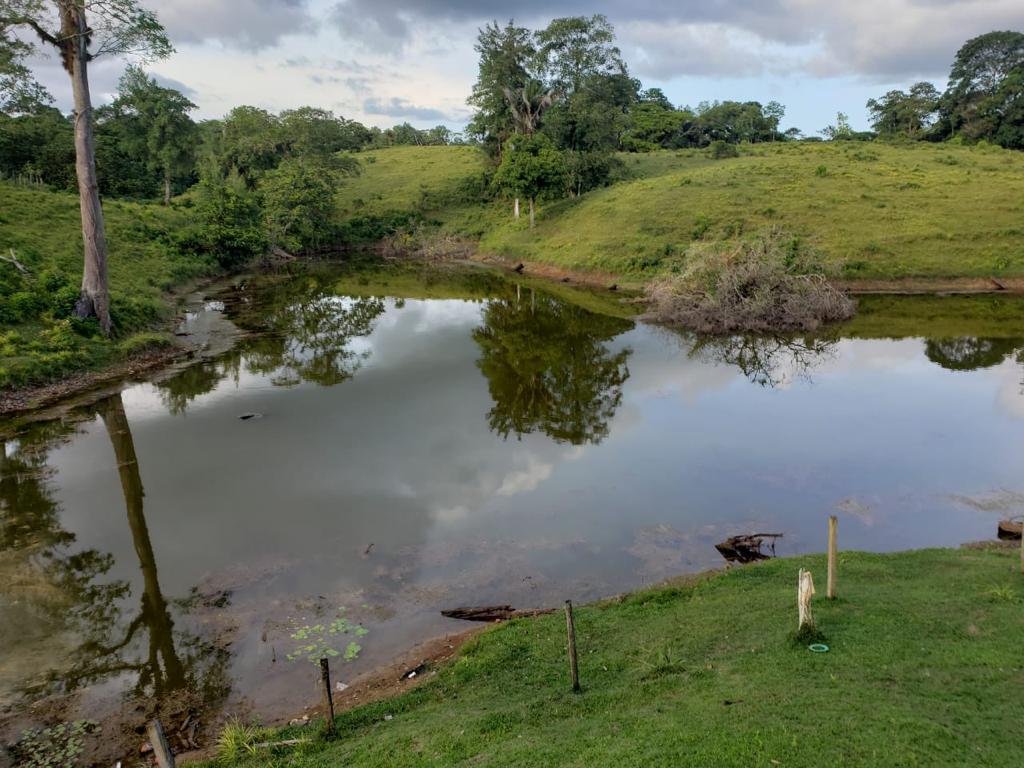 VENTA  FINCA GANADERA PARA DOBLE PROPÓSITO 