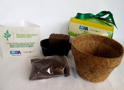 Kit de siembra eco regalos® 3