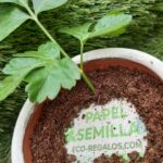 Papel Semilla Germinable Tabloide. Paquete 10 hojas