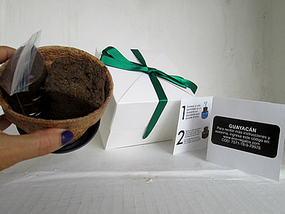 Kit de siembra eco regalos® 2